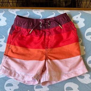 Primary Multicolor Striped Shorts